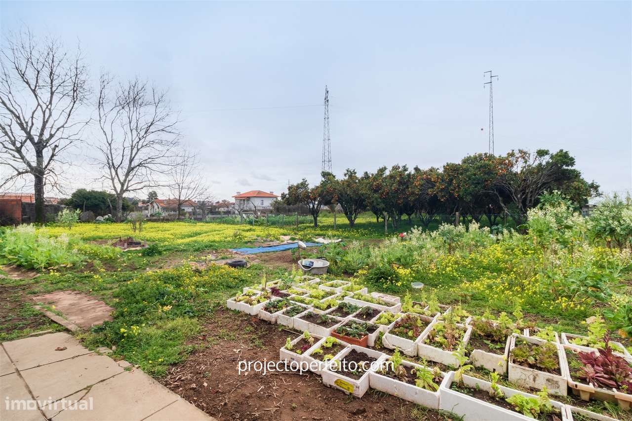 Quintinha T5 Venda em São Paio de Oleiros,Santa Maria da Feira - Grande imagem: 4/26