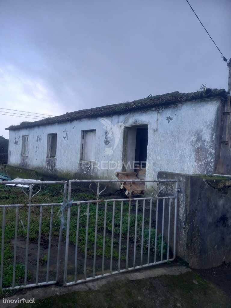 Novidade No Mercado-São Brás