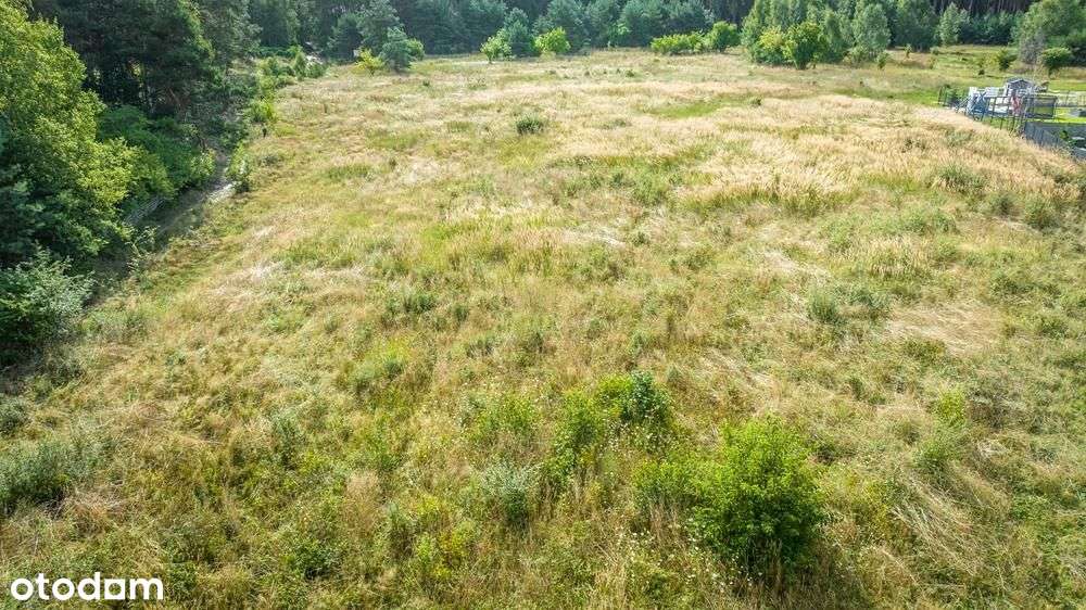 Działki budowlane - Włoszakowice ul. Ogińskiego - Pełny obrazek: 5/17