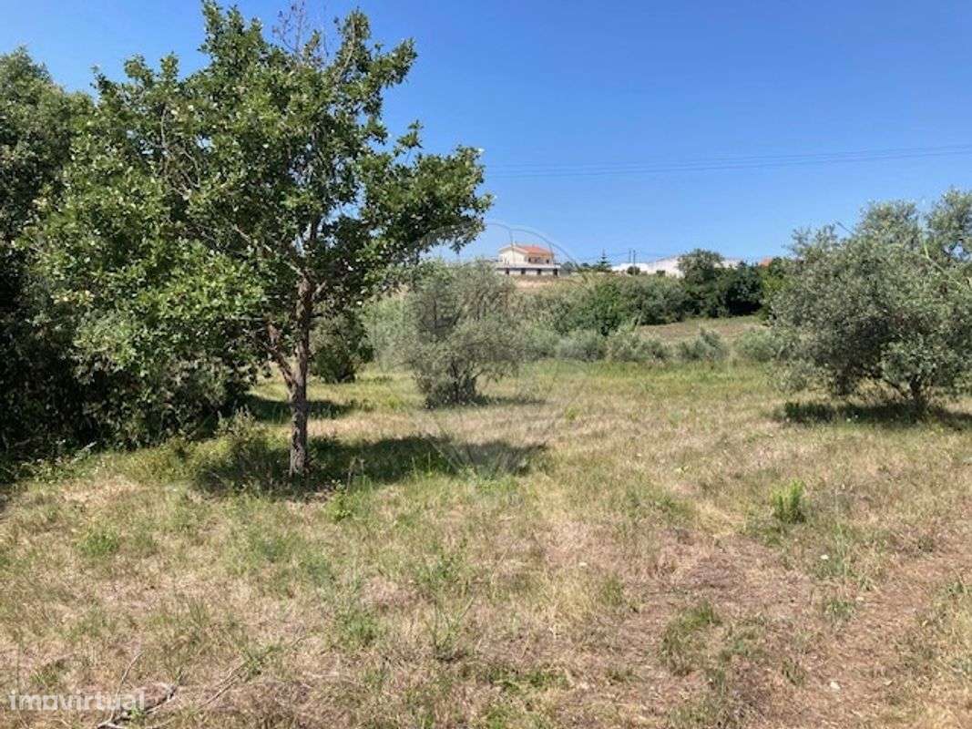 Terreno  para venda - Grande imagem: 4/4