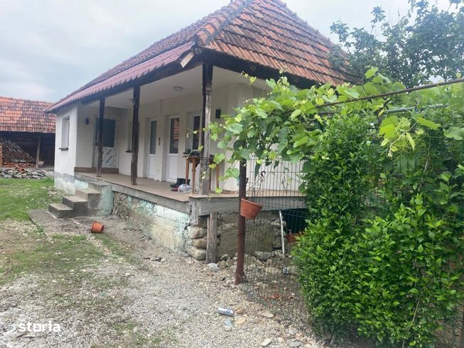 Casa traditionala renovata + anexe si gradina, Telesti, Gorj-1