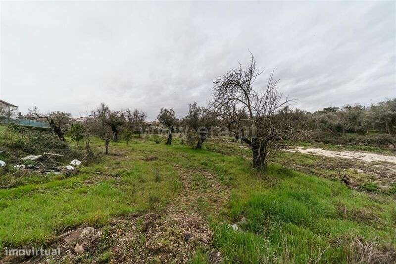 Terreno para Construção / Fundão, Orca - Grande imagem: 4/14