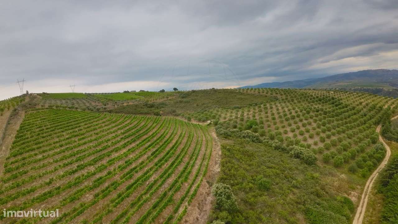 Terreno  para venda - Grande imagem: 5/9