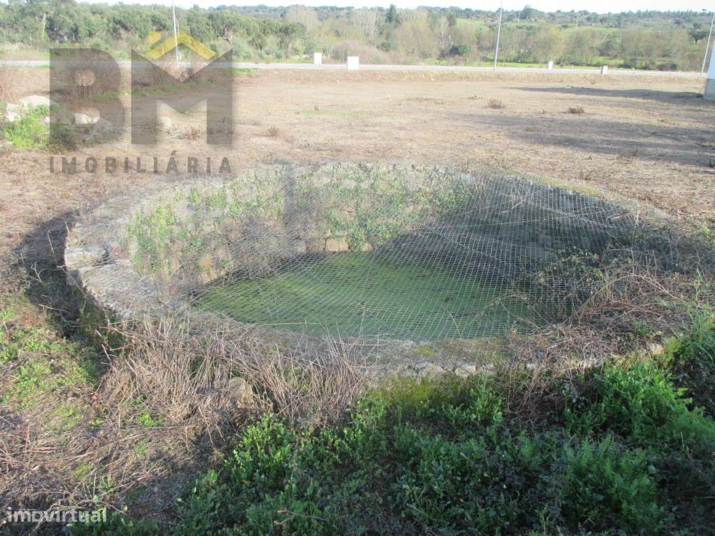 Excelente Oportunidade: Terreno de 584.50 m² em Escalos de Cima - Grande imagem: 4/6