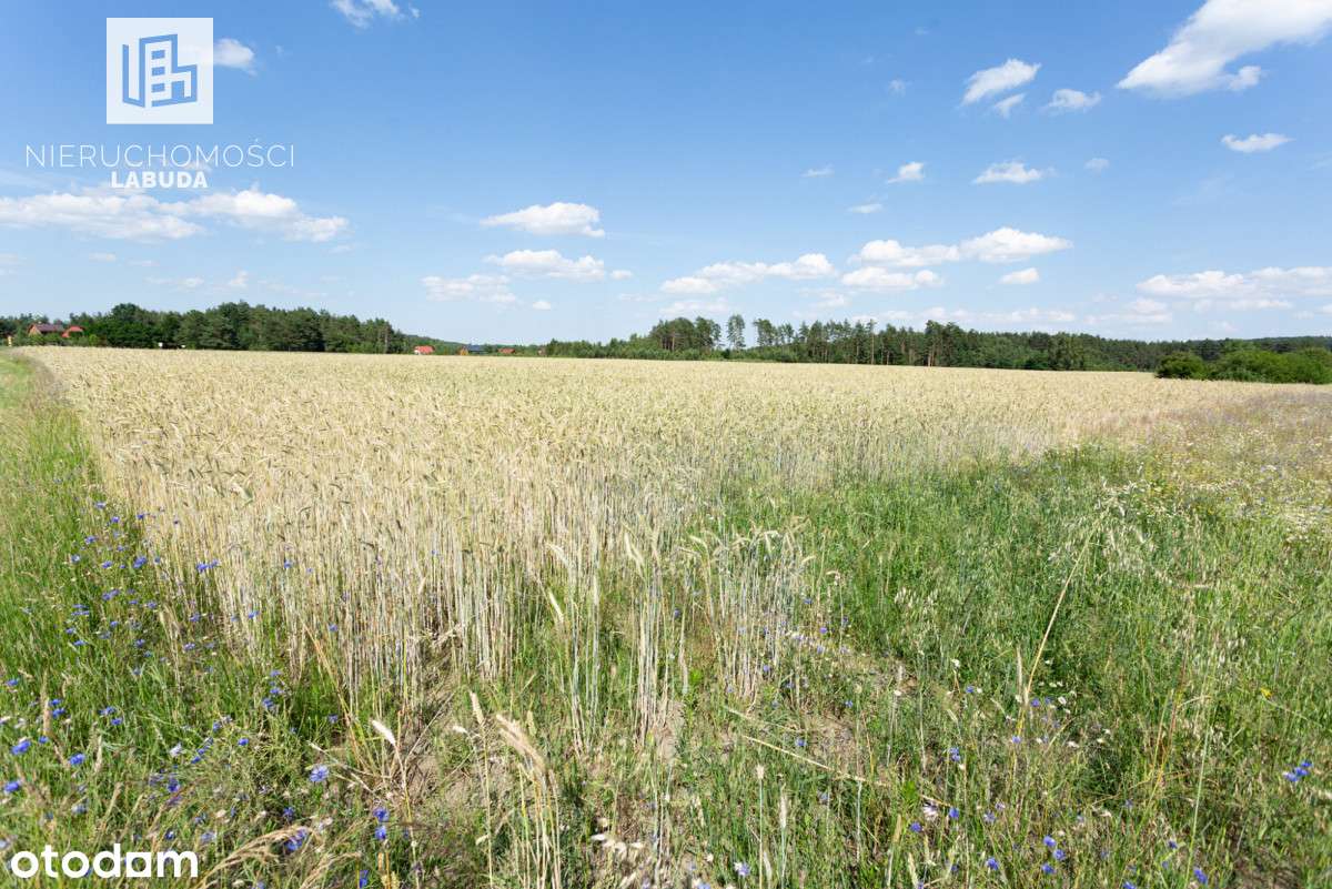 Działka budowlano - rekreacyjna - Pełny obrazek: 4/9