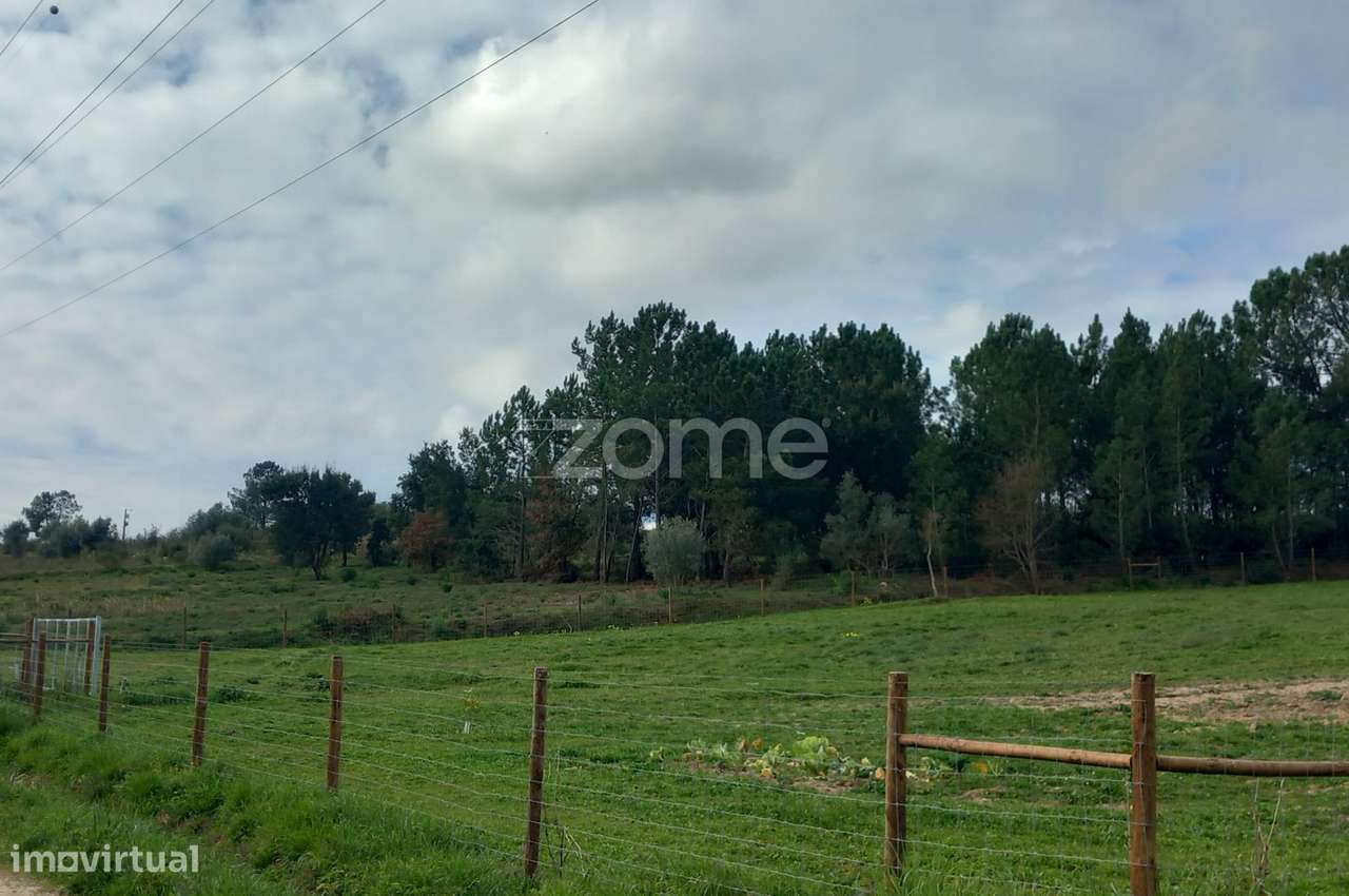 Terreno Rústico - Grande imagem: 5/8