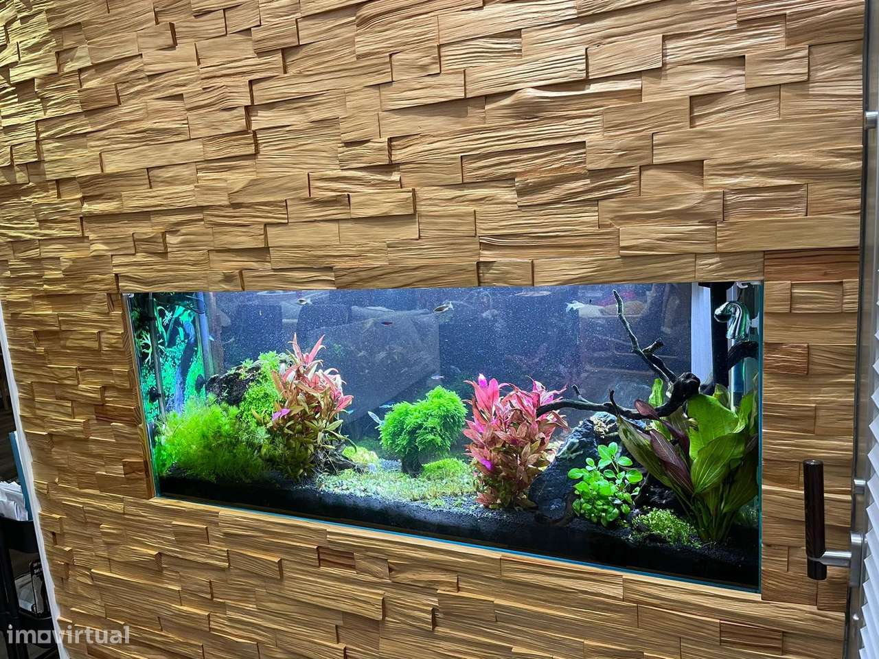 Moradia térrea com piscina em Soutelo, Vila Verde-17