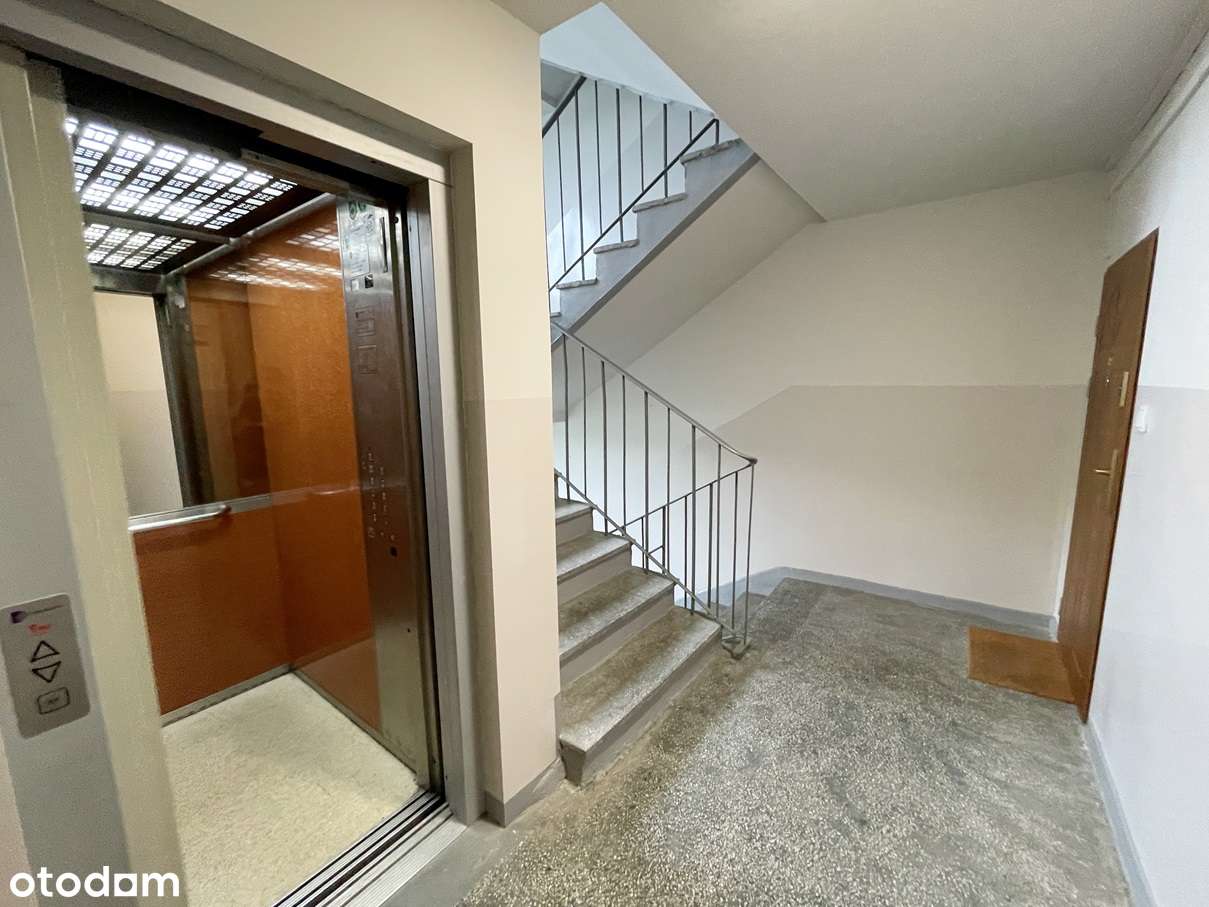 3 pokoje -Biskupin-10