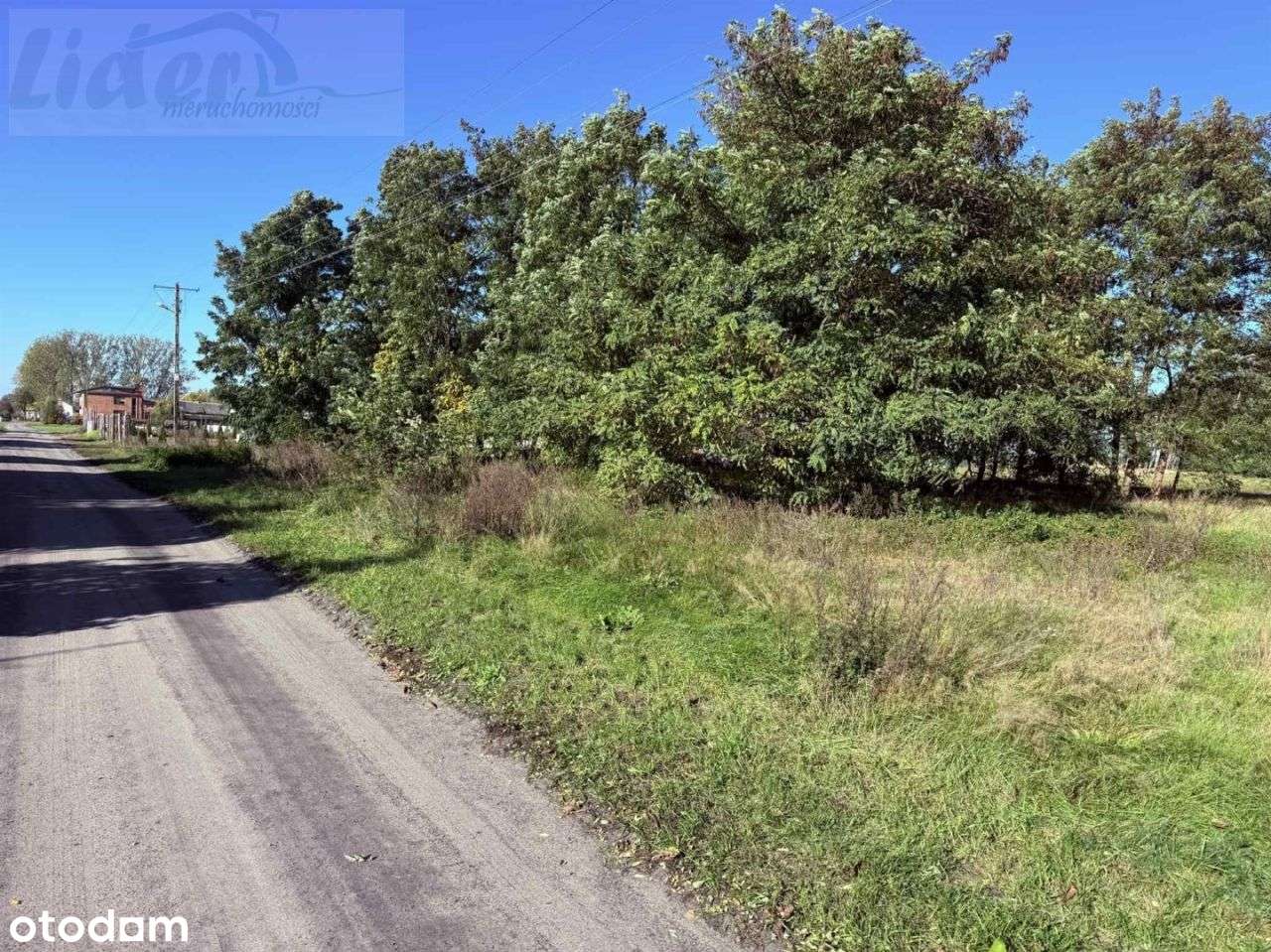 Działka, 2 099 m², Mrożewice-0