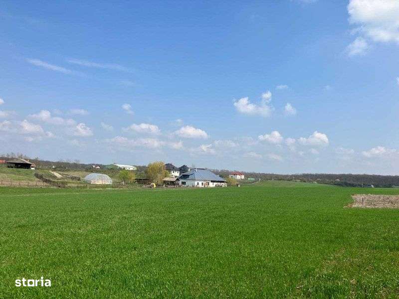 Teren intravilan Balteni, Scrovistea - langa Satul Brancovenesc - Imagine principală: 5/5