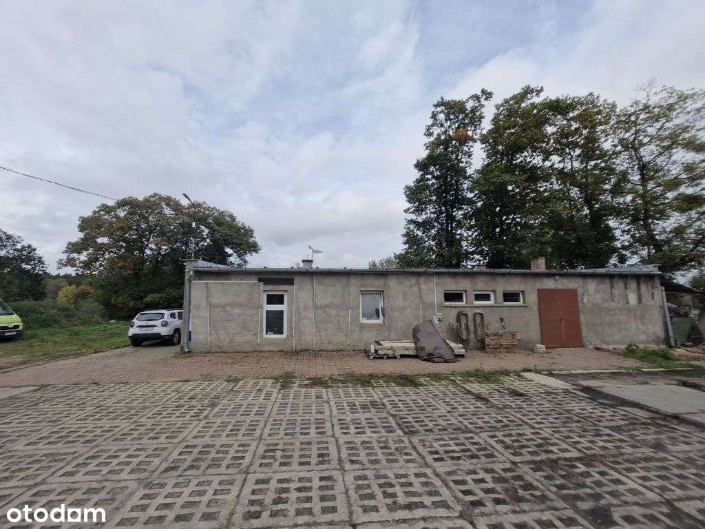 Nojewo, 10 km od Pniew, 1191 m2-1