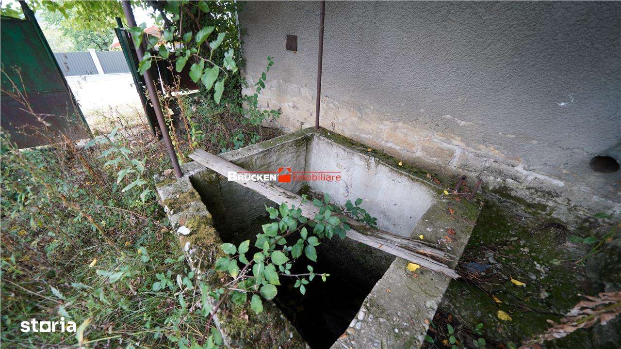 O oportunitate rara in mijlocul naturii – teren generos in Bicacel, Bi-6