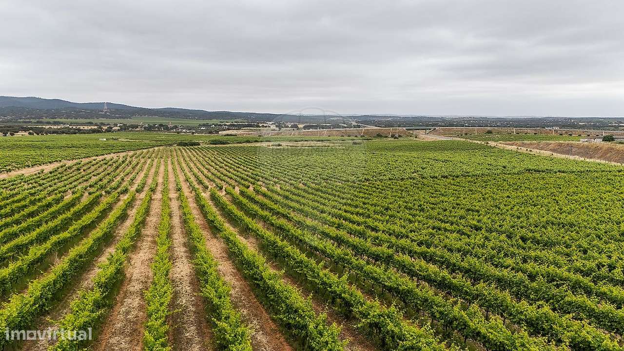 Quinta  para venda - Grande imagem: 4/12