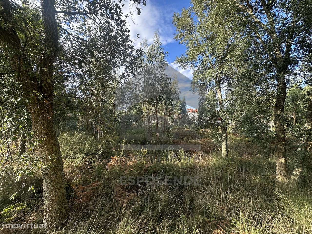 Terreno construção c/ 4.002 m² – Alvelos/ Barcelos - Grande imagem: 4/9