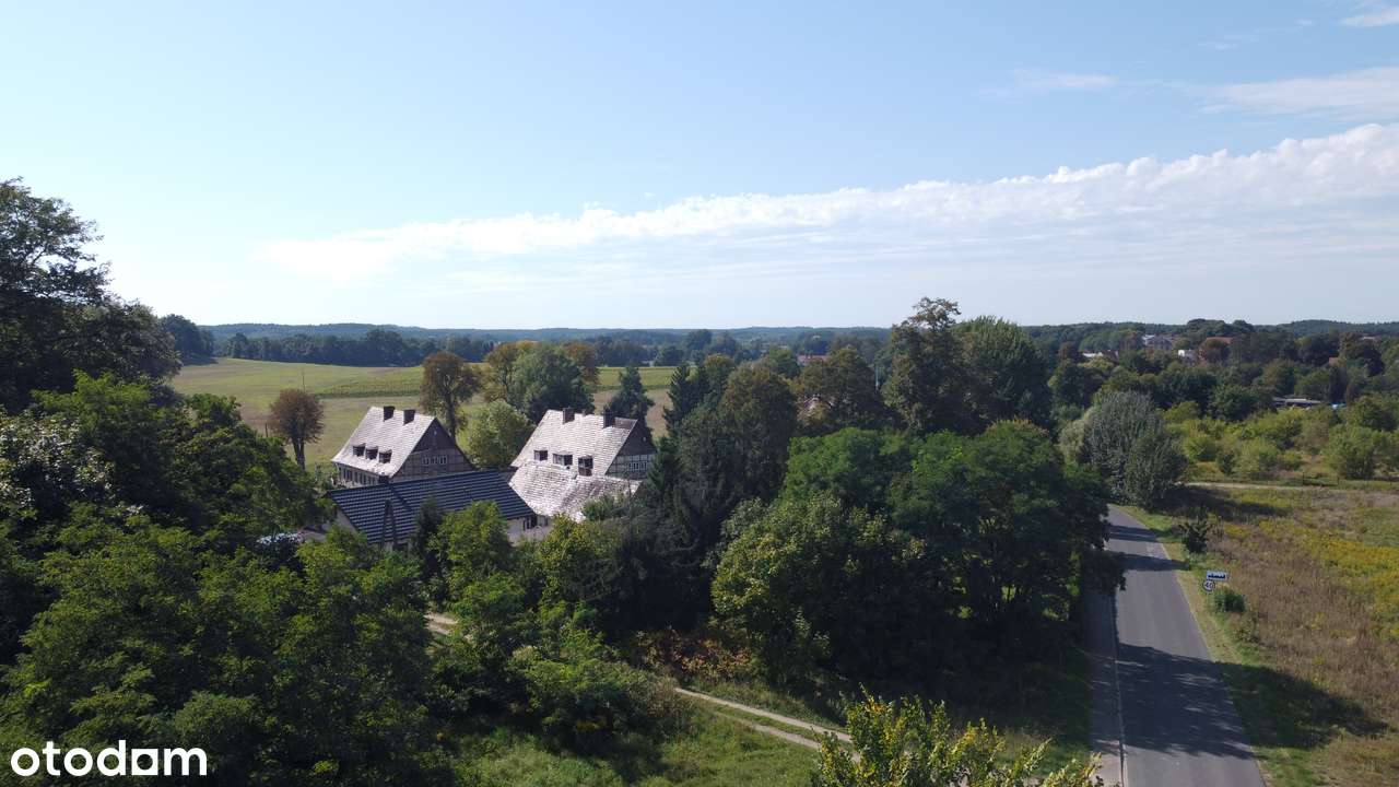 NIŻSZA CENA ! Działki z WZ, Pszczew, jezioro, las - Pełny obrazek: 2/9