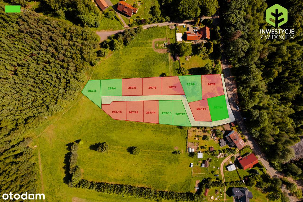 Działka w Górach Kamiennych przy asfalcie - Pełny obrazek: 5/15