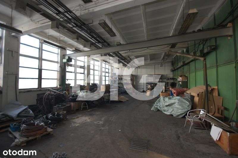 Hala produkcyjna Pruszcz Gdański - Pełny obrazek: 5/10