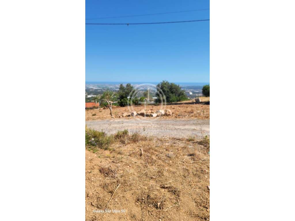 Terreno Rustico com 8440 m em Santa Barbara de Nexe, Faro - Grande imagem: 4/11
