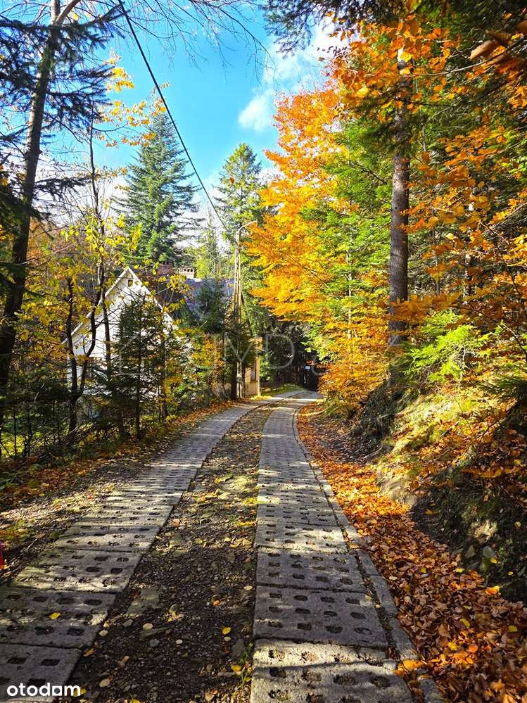 Dom w sercu Sczyrku 2117m2 działka_LAS_ - Pełny obrazek: 4/17