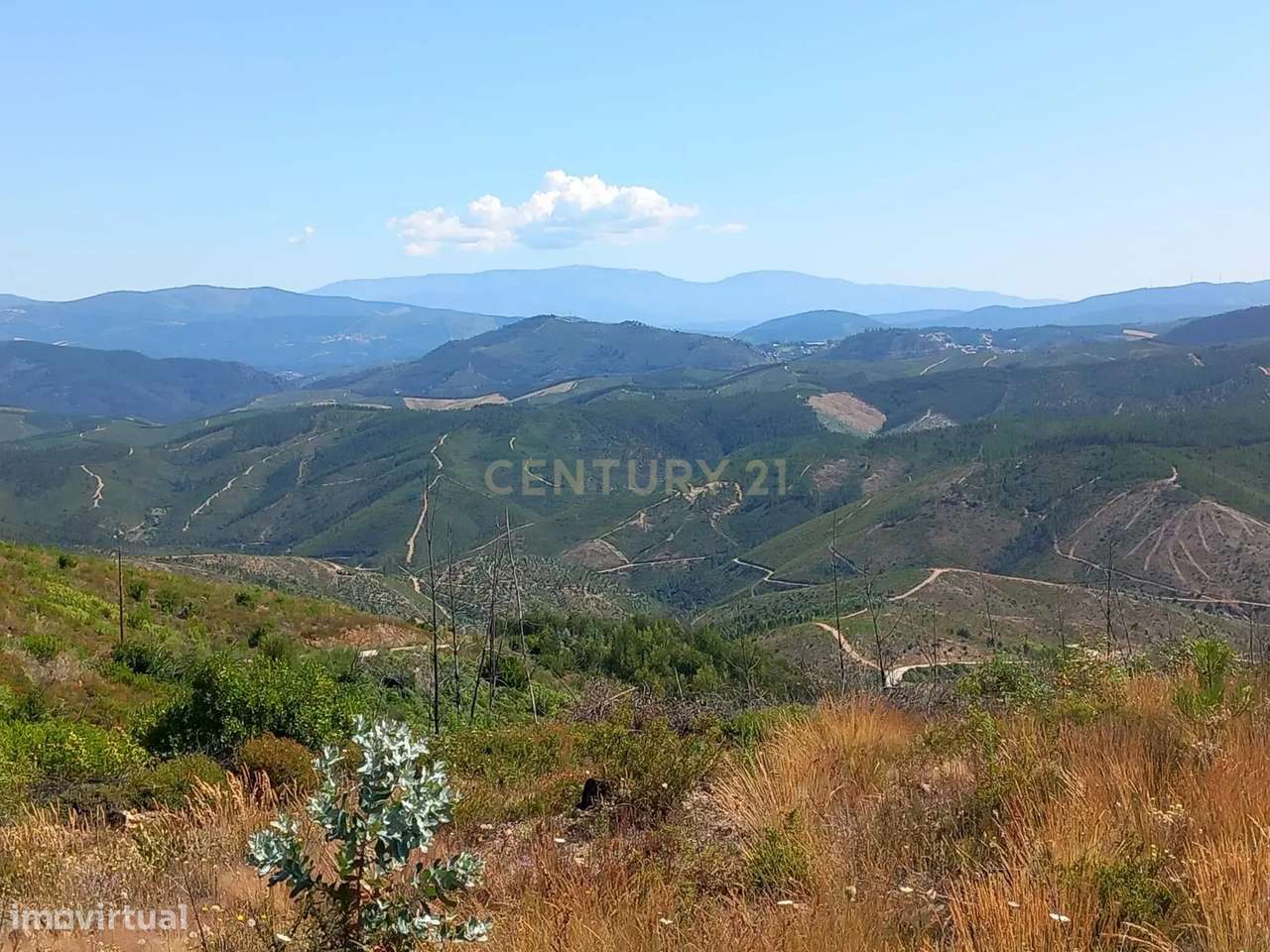 Terreno Rustico, Roqueiro - Grande imagem: 4/8