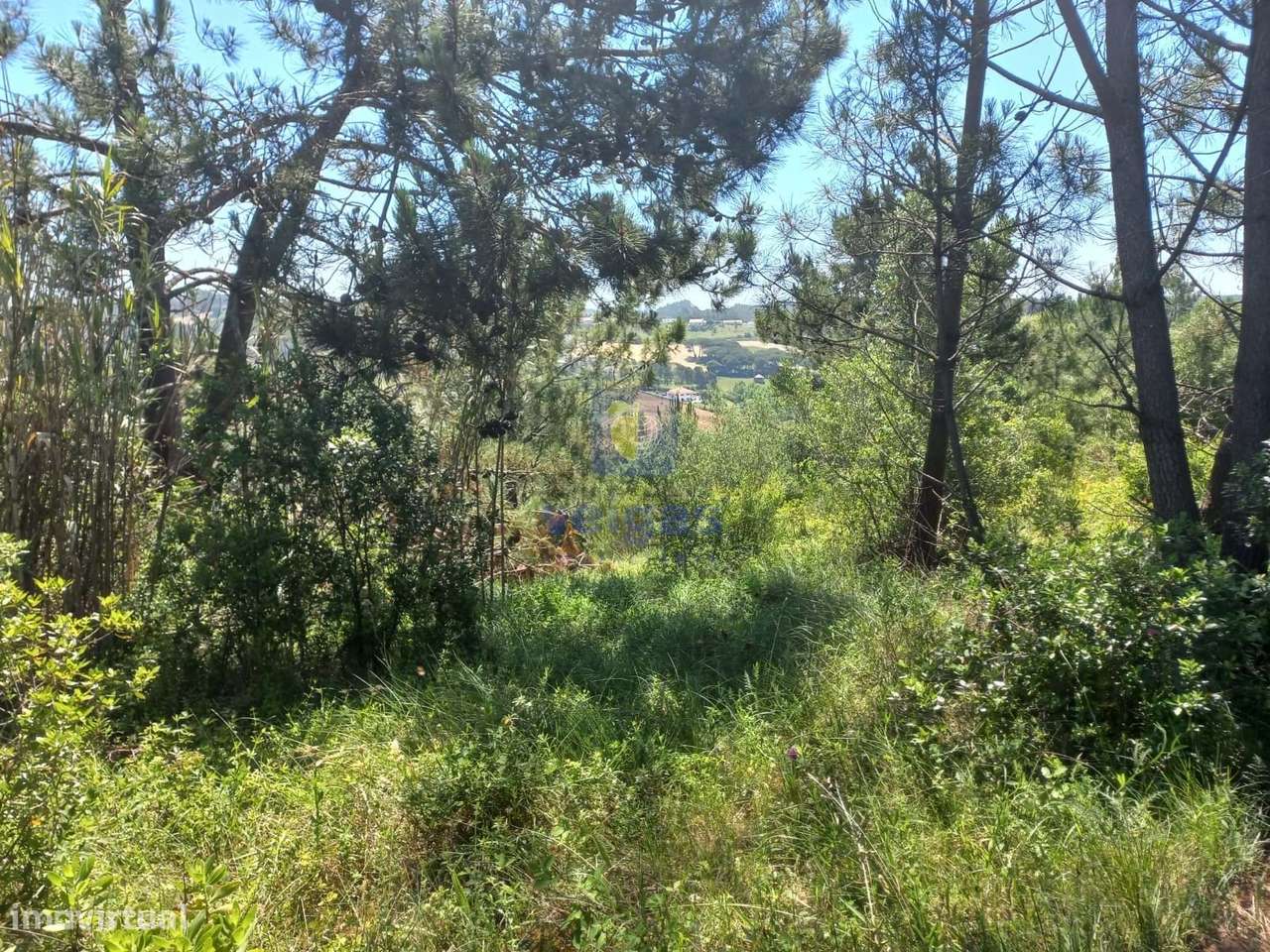 Incrível Terreno Rústico de 30.000 m², localizado nas Cruzes - Salir - Grande imagem: 4/26