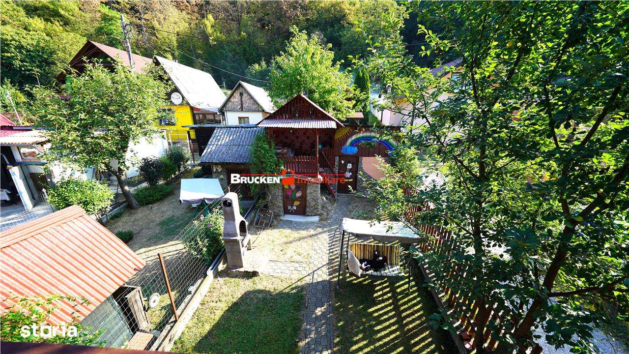 LOCUINTA TA DE VIS IN PADUREA NEAGRA - Imagine principală: 5/15