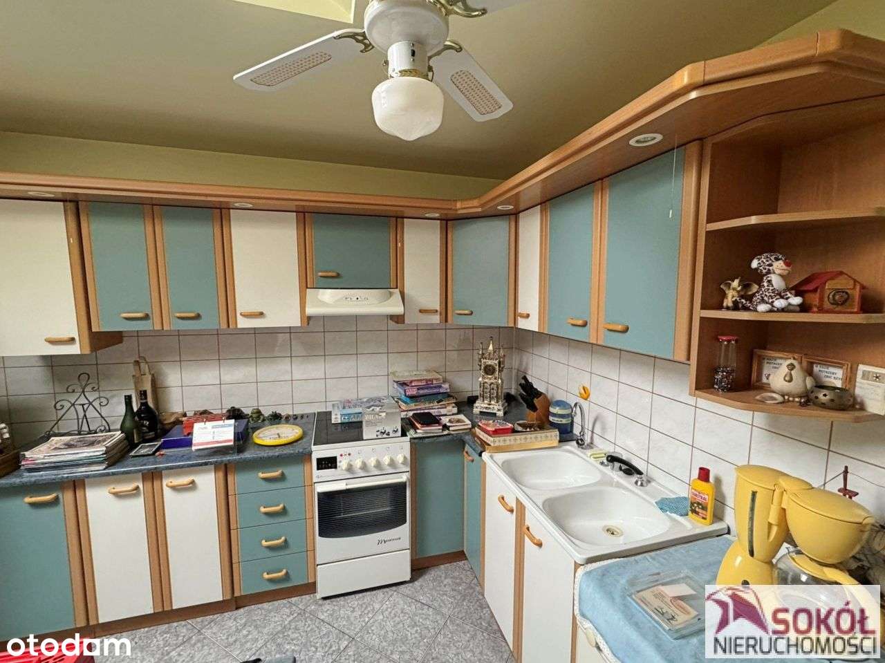 Dom, 280 m², Szczecin-13