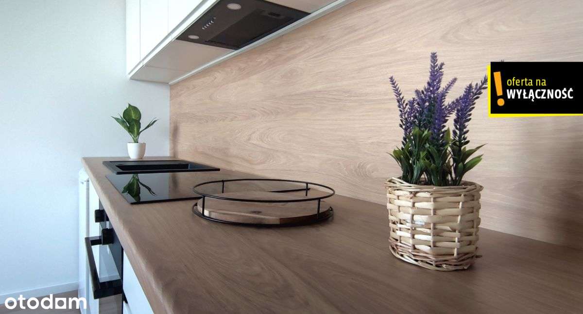 Kawalerka 17 m2 idealna lokalizacja na najem-0