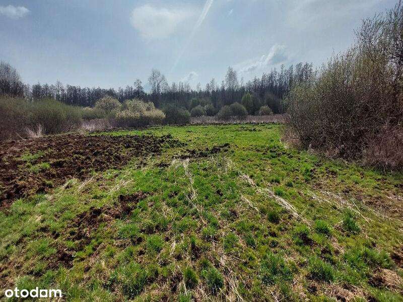 Udział wynoszący 1/2 w prawie własności nieruchomości - Pełny obrazek: 2/8