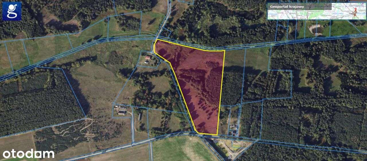 Działka 7,2 ha- przyroda i potencjał inwestycyjny-18