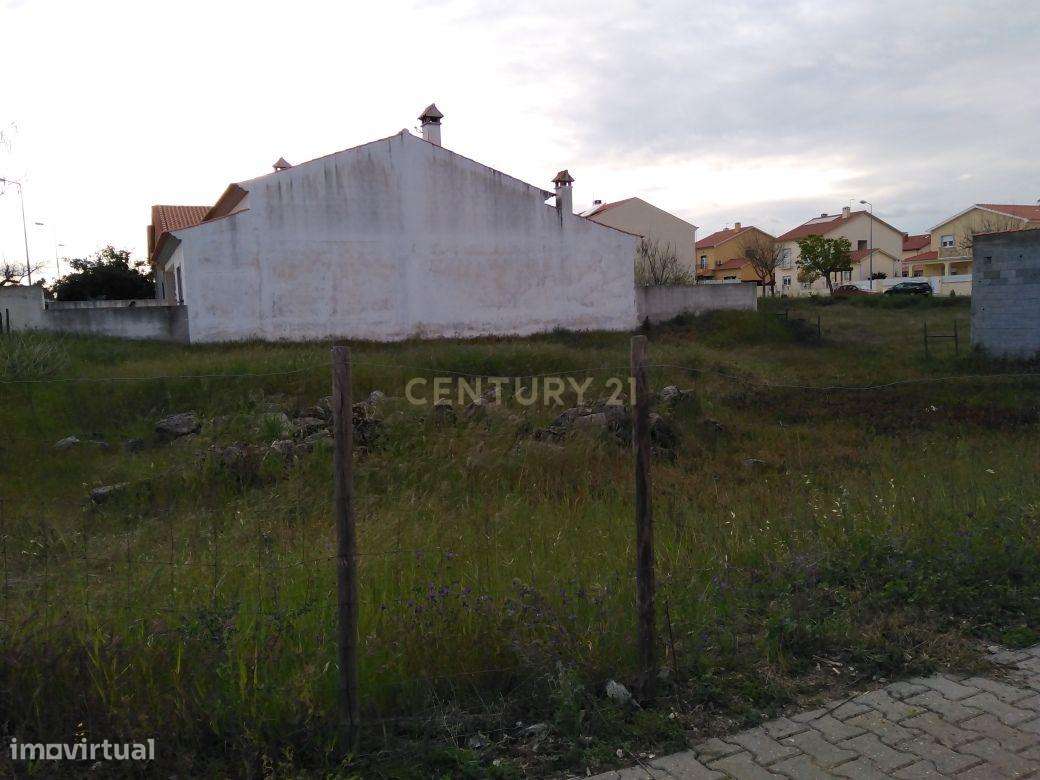 Terreno Urbano p/construção, Lardosa - Grande imagem: 3/4