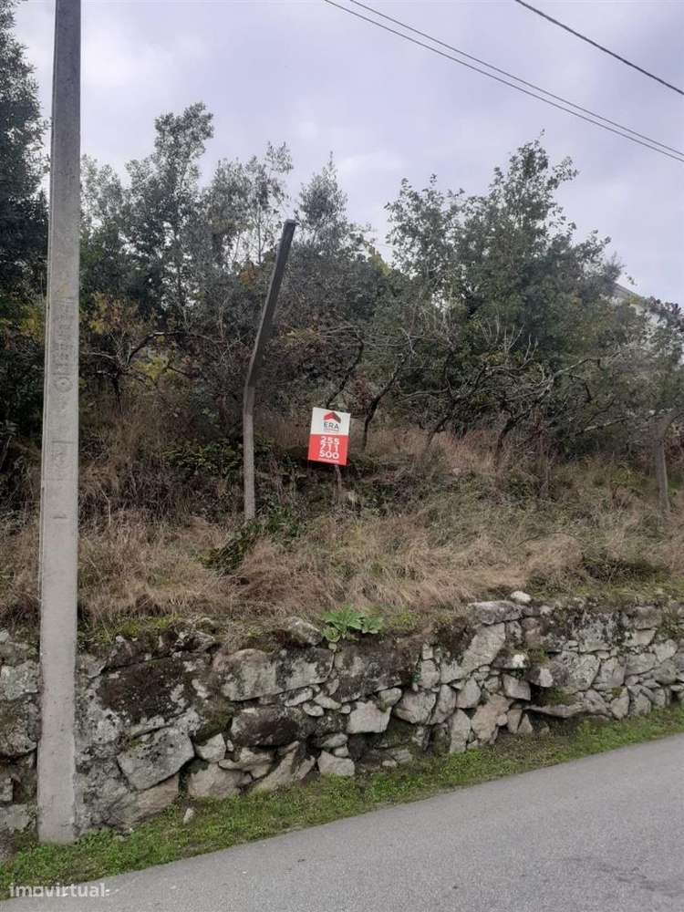 Terreno, Penafiel, Luzim e Vila Cova-4