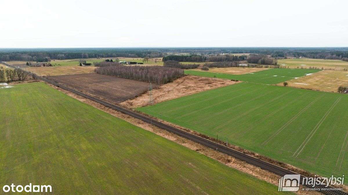 Dzisna - działka inwestycyjna - Pełny obrazek: 3/8