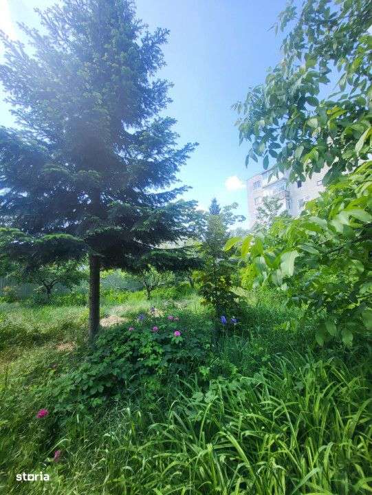 Teren Electricienilor Bacau - Imagine principală: 5/6