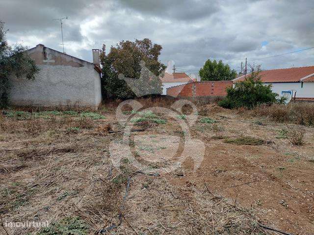 Ruina com Terreno no Perimetro Urbano 1460 m2-13