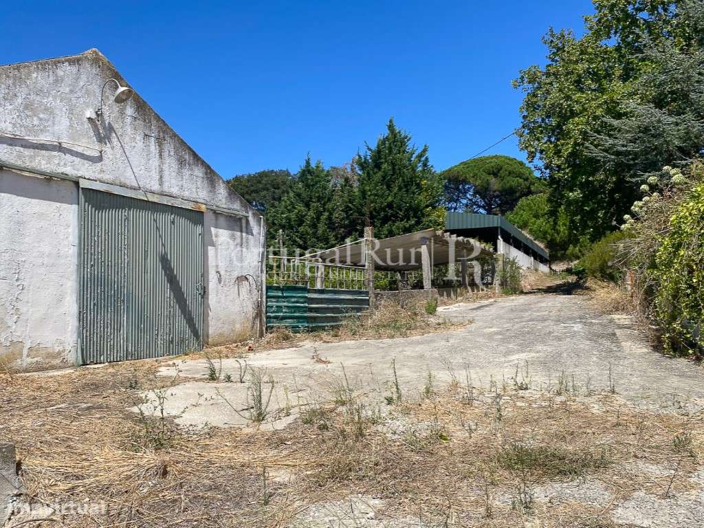 Complexo Agricola com 35.640 m² e 1.907 m² de área de construção-15