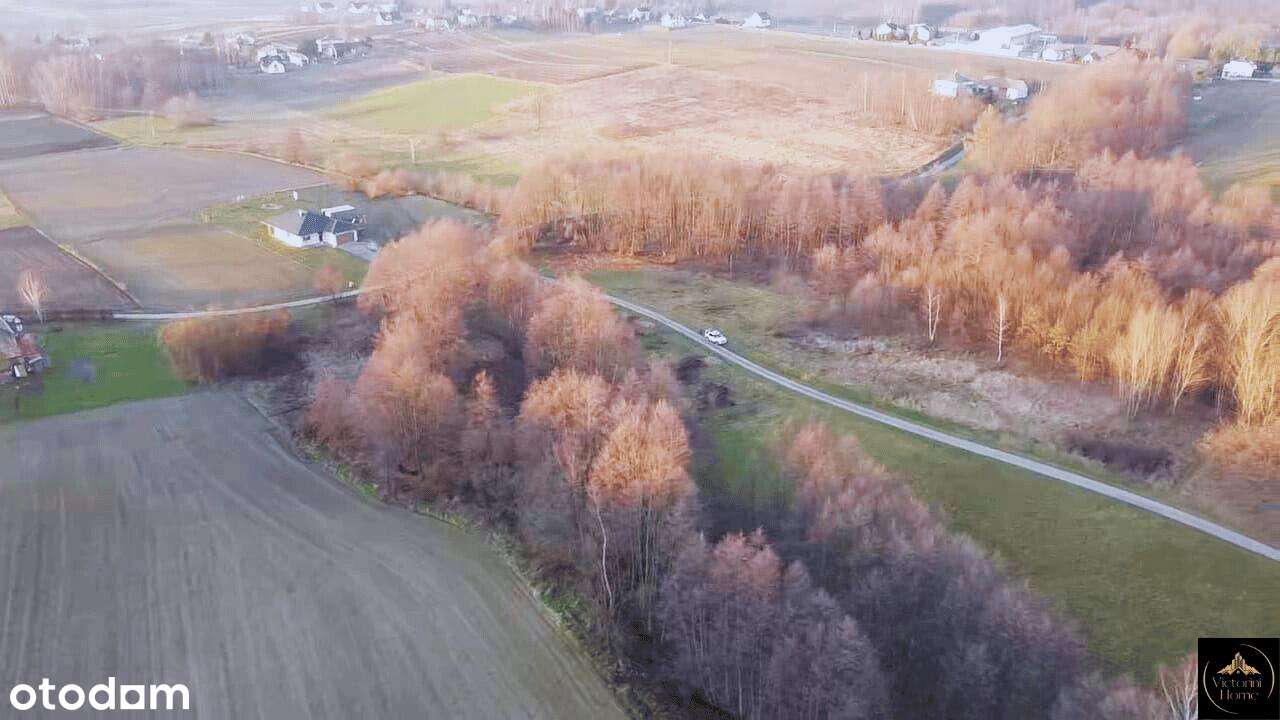 Działka widokowa 47 ary – Wrocanka, gmina Tarnowiec. - Pełny obrazek: 5/12