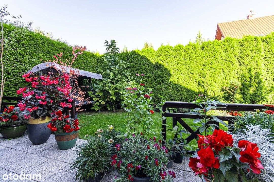 Połówka bliźniaka na Szerokim-16