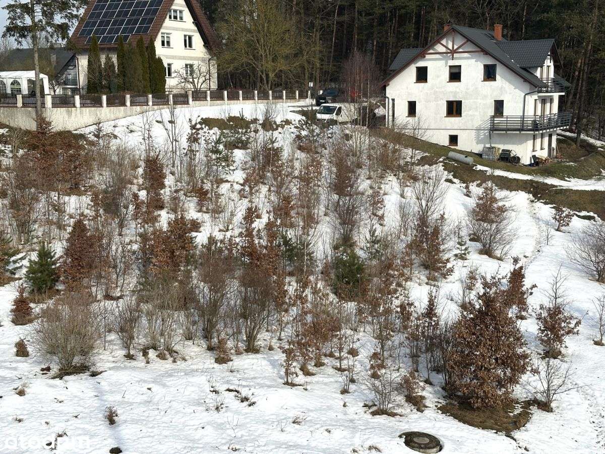 Działka 2049m2 Borowo ul. Sosnowa-6