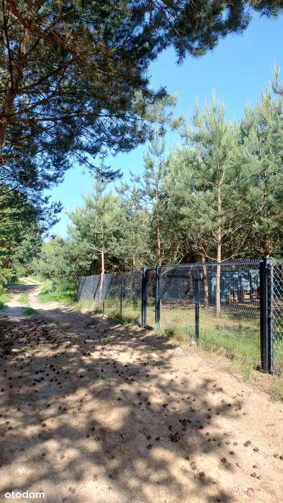 Działka rekreacyjno-budowlana przy jeziorze - Pełny obrazek: 5/9