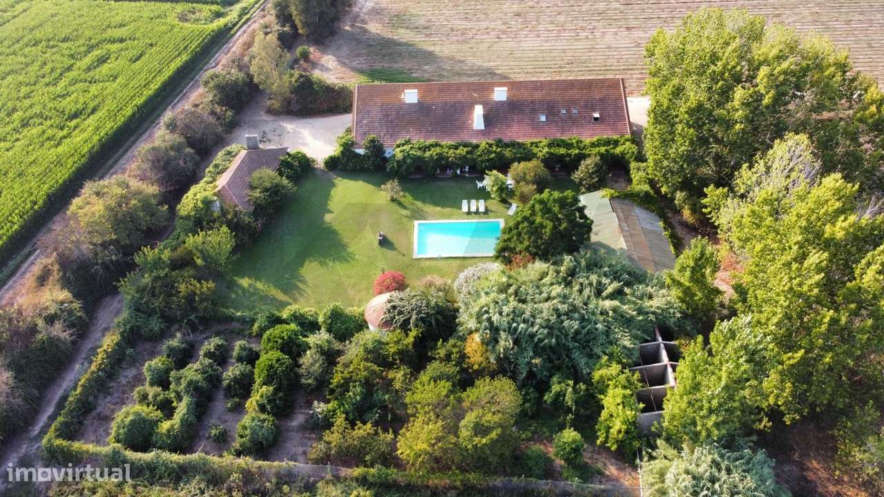 Bem-vindo à Quinta Olival das Moitas - Encanto Rural e Elegância para - Grande imagem: 1/40