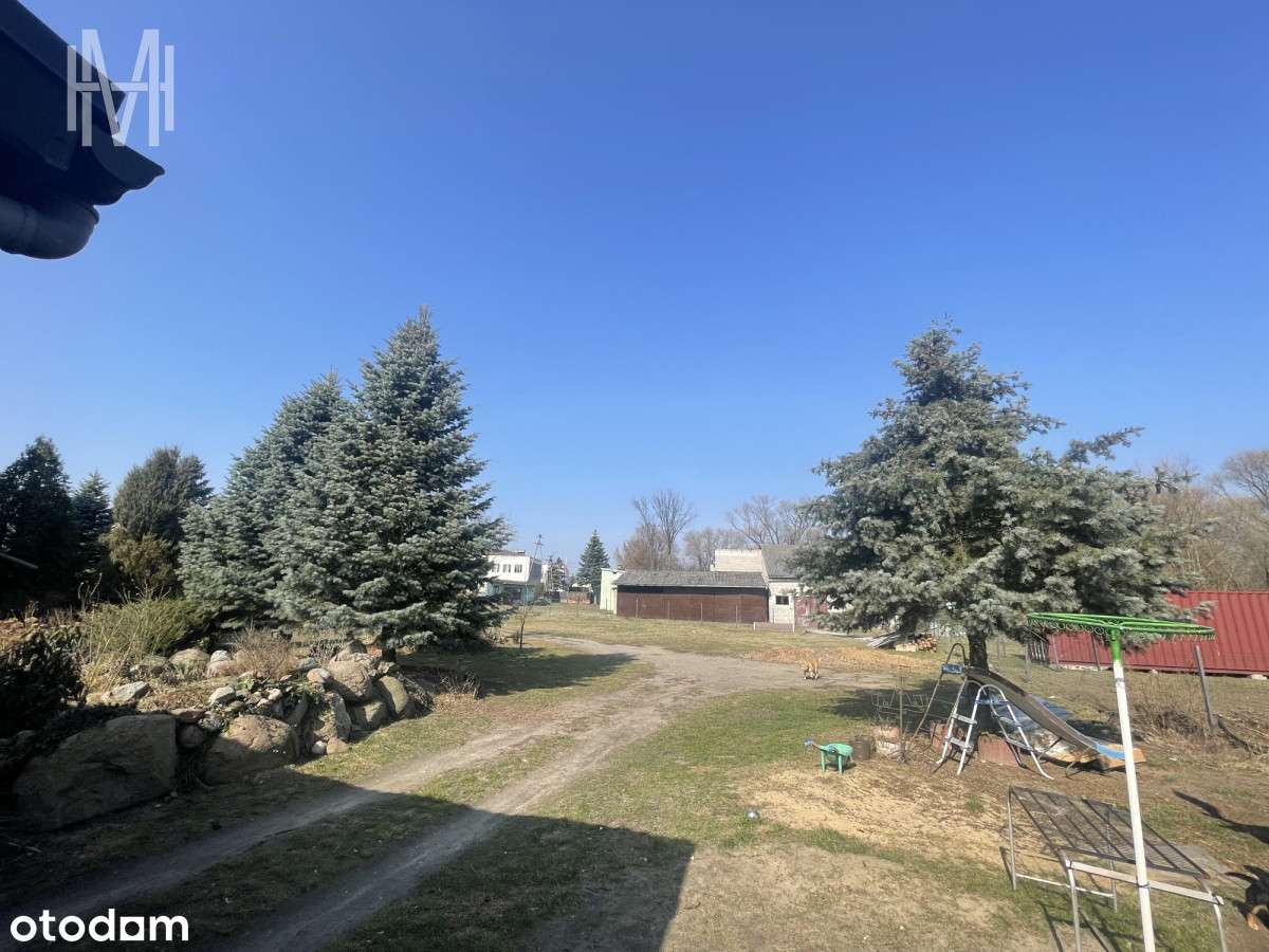 4383 m2 Działki w Okuniewie! Możliwość podziału! - Pełny obrazek: 5/11