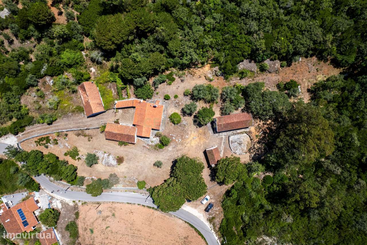MORADIA/QUINTA EM ALCOBAÇA, LAGOA DO CÃO - Grande imagem: 3/60