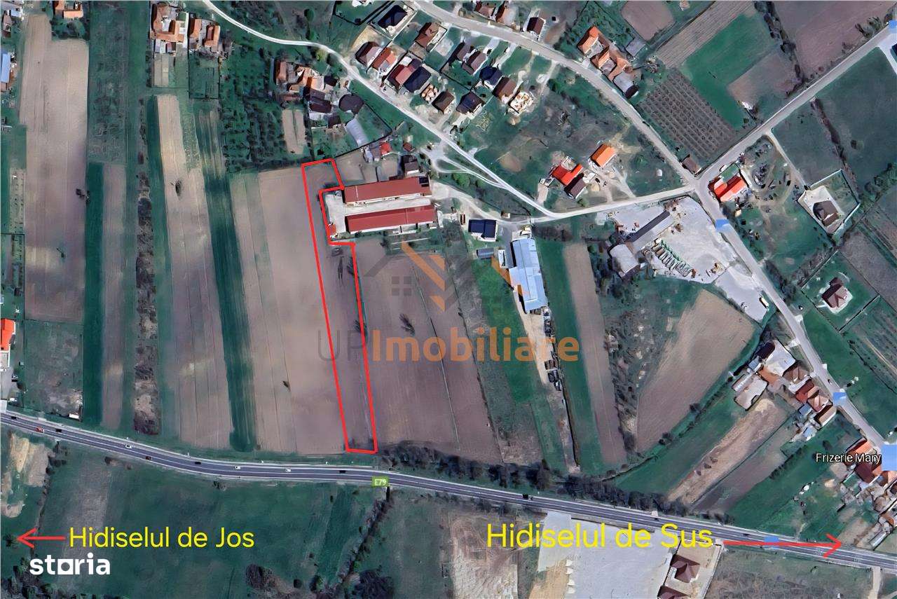 TEREN INTRAVILAN | 4300 MP | HIDISELUL DE SUS | BIHOR - Imagine principală: 1/7