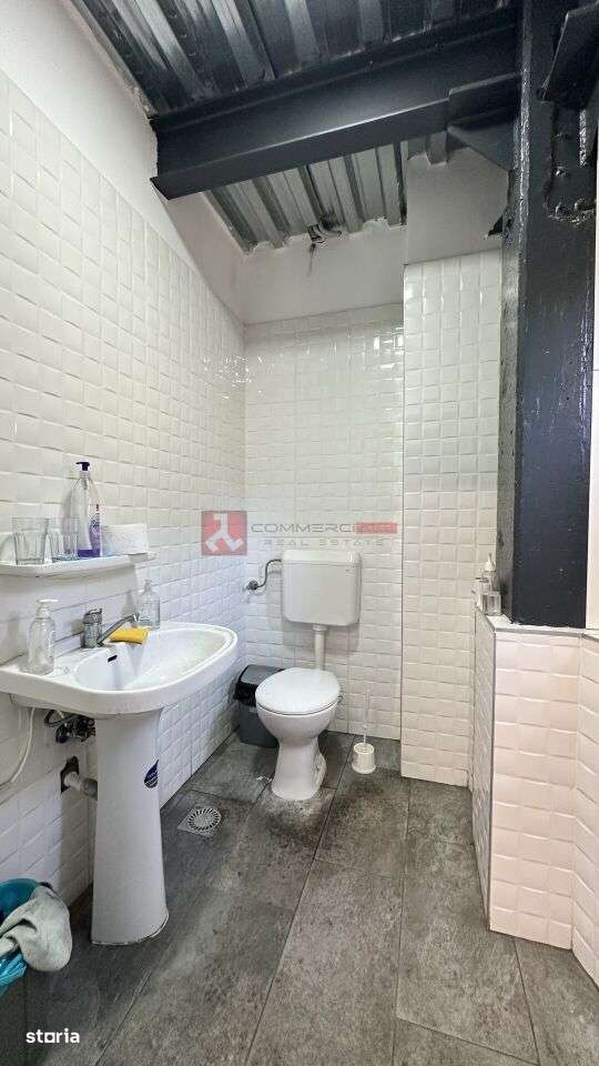 INVESTITIE – Hala 450MP– Curte privata-6