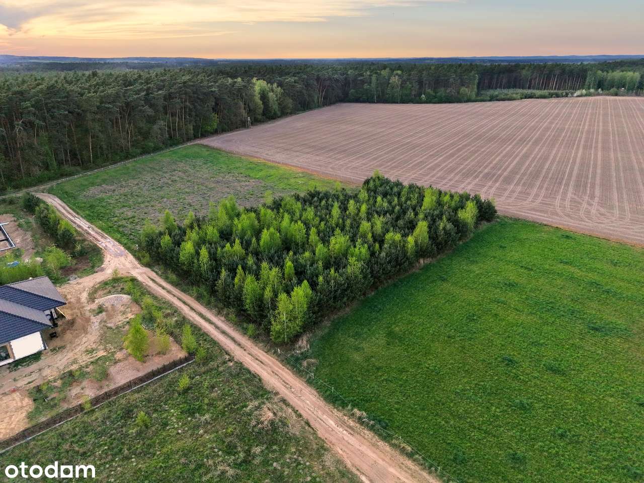 Zamieszkaj wśród drzew i jezior – 3233 m² ciszy dz. budowlana-7