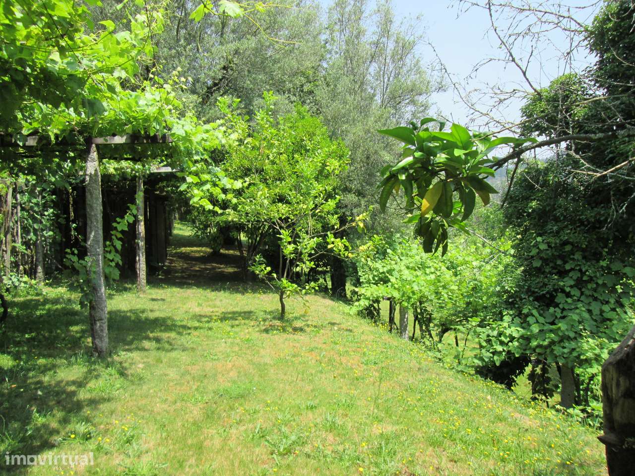 Quintinha no Minho Ponte de Lima * 10.000 m2 * a 90 Km do Porto-35