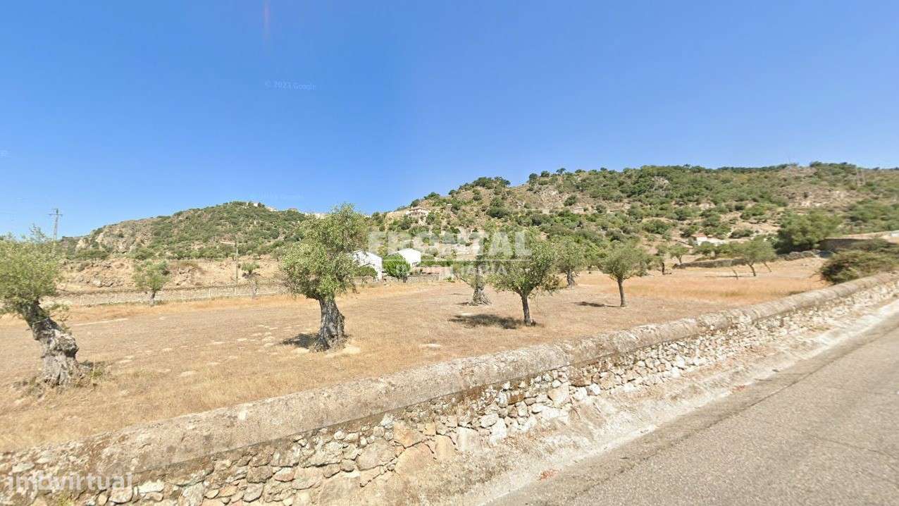Terreno Rústico em Idanha-a-Nova - Oportunidade Única - Grande imagem: 3/6