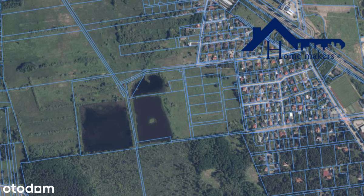 Baniocha 2500 m² | media | las - Pełny obrazek: 4/5