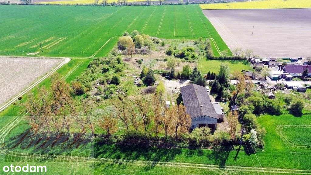 Działka zagrodowa w Lusówku-3